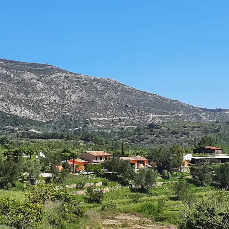 Outdoor surroundings at the retreat